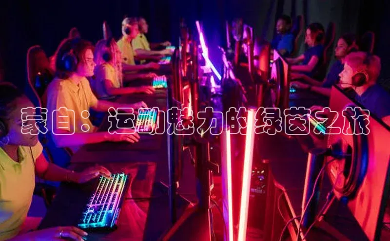 蒙自：运动魅力的绿茵之旅