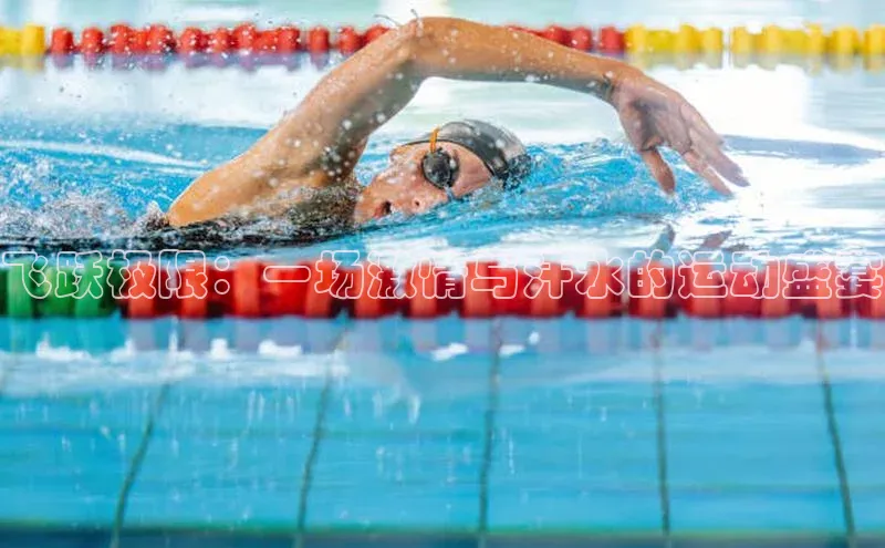 飞跃极限：一场激情与汗水的运动盛宴