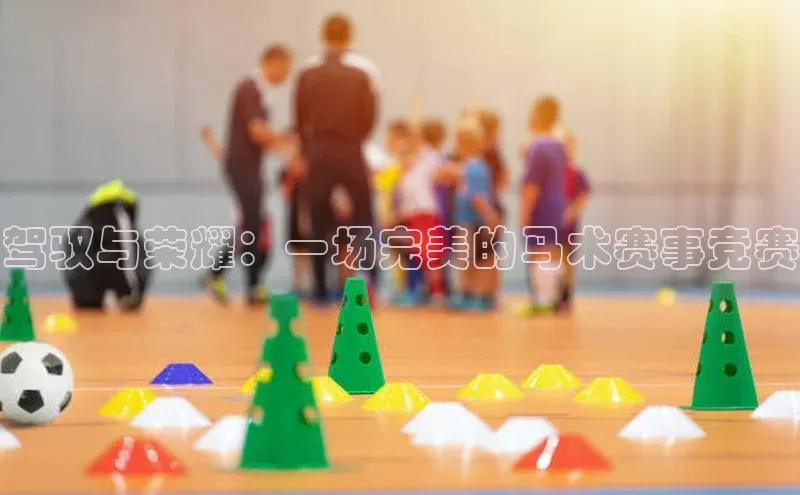 驾驭与荣耀：一场完美的马术赛事竞赛