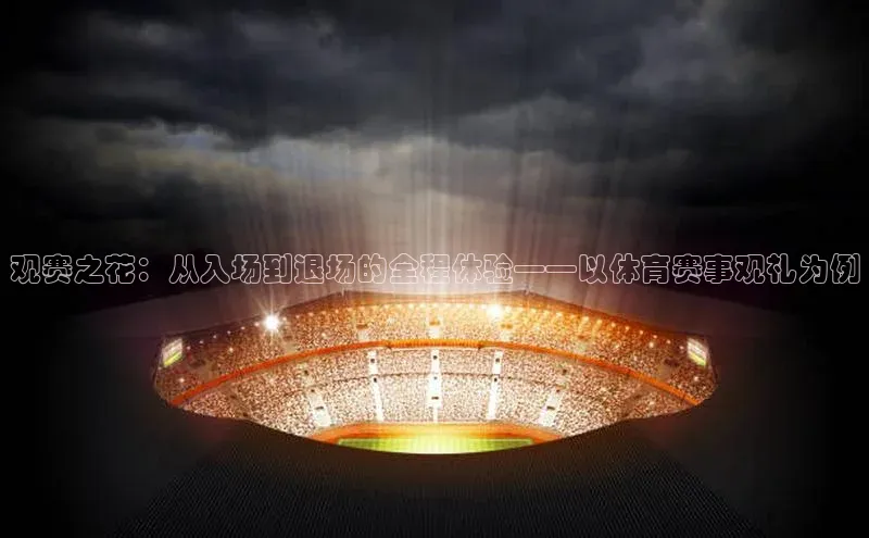 观赛之花：从入场到退场的全程体验——以体育赛事观礼为例