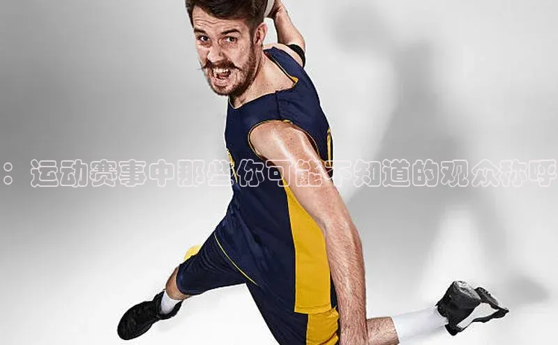 ：运动赛事中那些你可能不知道的观众称呼