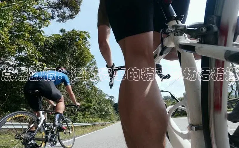 点燃激情：运动赛事的精彩开场语精选