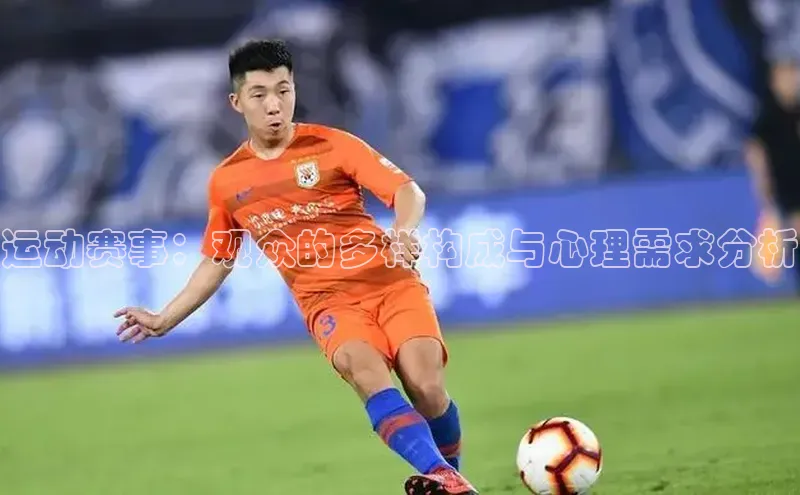 运动赛事：观众的多样构成与心理需求分析