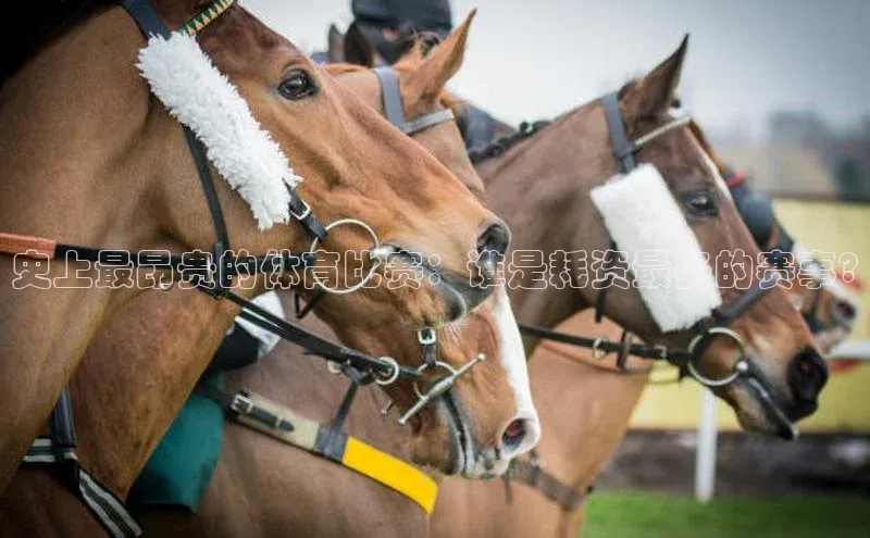 史上最昂贵的体育比赛：谁是耗资最多的赛事?