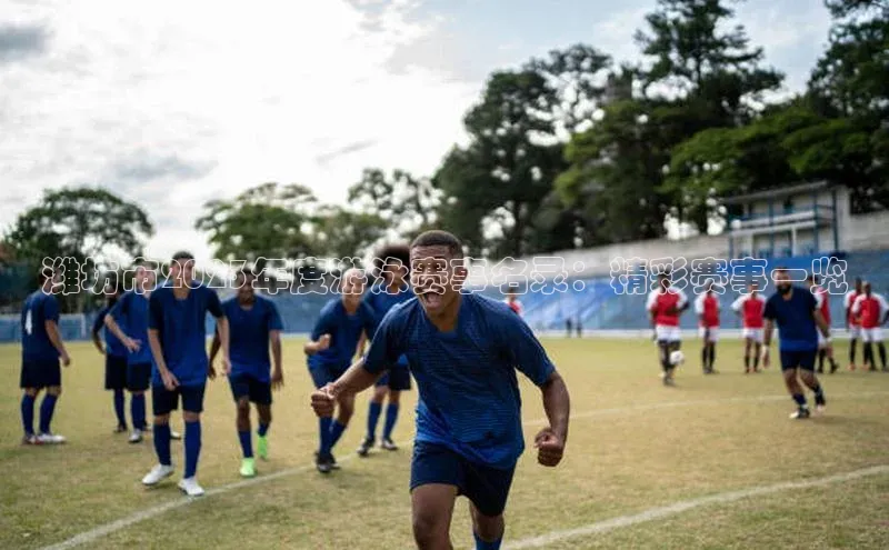 潍坊市2023年度游泳赛事名录：精彩赛事一览