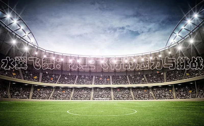 水翼飞舞：水上飞行的魅力与挑战