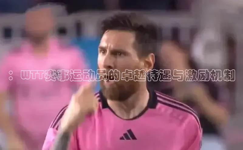 ：WTT赛事运动员的卓越待遇与激励机制