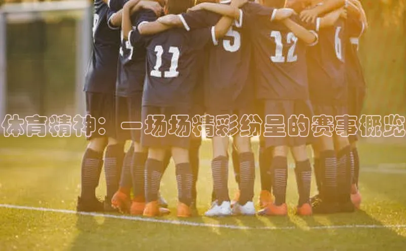 体育精神：一场场精彩纷呈的赛事概览