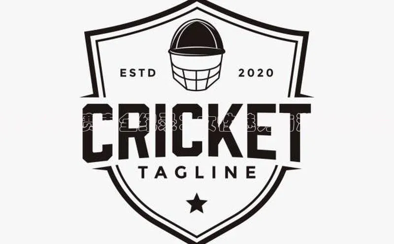 美女运动赛事全纪录：女性魅力与激情的力量