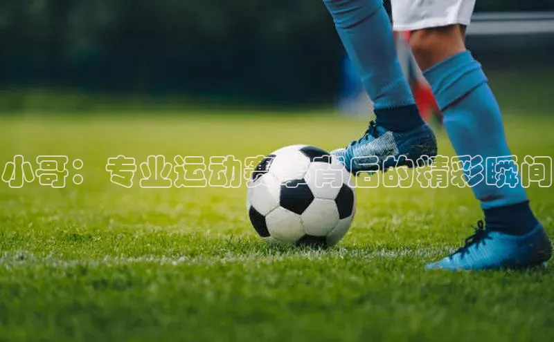 门徒娱乐在线登录