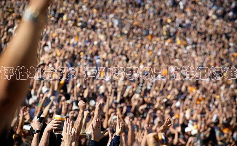 评估与分级：运动赛事级别的详细标准